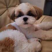 ヒメ日記 2025/10/23 14:27 投稿 朋香(ともか) ロケットワイフ