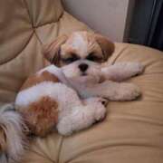 ヒメ日記 2025/10/26 05:04 投稿 朋香(ともか) ロケットワイフ