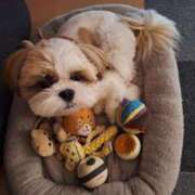 ヒメ日記 2025/11/03 23:20 投稿 朋香(ともか) ロケットワイフ