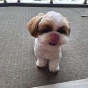 ヒメ日記 2025/11/10 13:07 投稿 朋香(ともか) ロケットワイフ