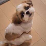 ヒメ日記 2025/12/12 07:55 投稿 朋香(ともか) ロケットワイフ