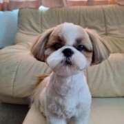 朋香(ともか) 静かな日曜日 ロケットワイフ