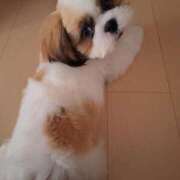 ヒメ日記 2026/01/15 18:39 投稿 朋香(ともか) ロケットワイフ