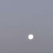 ヒメ日記 2026/02/03 13:30 投稿 朋香(ともか) ロケットワイフ