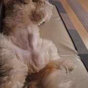 ヒメ日記 2026/02/03 20:35 投稿 朋香(ともか) ロケットワイフ