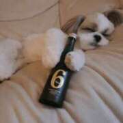 ヒメ日記 2026/02/07 08:16 投稿 朋香(ともか) ロケットワイフ