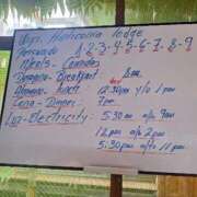 ヒメ日記 2026/02/12 23:25 投稿 朋香(ともか) ロケットワイフ