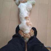 ヒメ日記 2026/02/23 07:51 投稿 朋香(ともか) ロケットワイフ