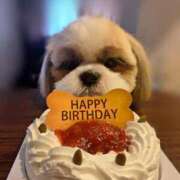 ヒメ日記 2026/02/24 17:25 投稿 朋香(ともか) ロケットワイフ