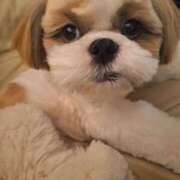 ヒメ日記 2026/02/25 23:10 投稿 朋香(ともか) ロケットワイフ