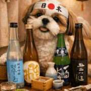 ヒメ日記 2026/03/01 12:02 投稿 朋香(ともか) ロケットワイフ