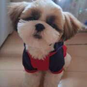 朋香(ともか) 勝ちましたー！ ロケットワイフ