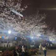 ヒメ日記 2026/04/02 22:01 投稿 朋香(ともか) ロケットワイフ