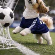 ヒメ日記 2026/04/06 13:36 投稿 朋香(ともか) ロケットワイフ