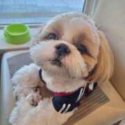 ヒメ日記 2026/04/13 07:21 投稿 朋香(ともか) ロケットワイフ