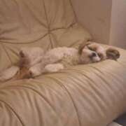 ヒメ日記 2026/04/14 05:49 投稿 朋香(ともか) ロケットワイフ