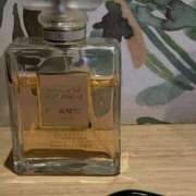 ヒメ日記 2024/12/20 22:33 投稿 愛弓(あゆみ) ロケットワイフ