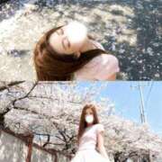 ヒメ日記 2026/03/15 08:48 投稿 愛弓(あゆみ) ロケットワイフ