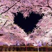 ヒメ日記 2025/04/12 09:19 投稿 なみ 奥様はエンジェル　町田店