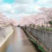 ヒメ日記 2025/03/22 15:03 投稿 ユイナ Celeb Garden(セレブガーデン)