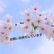 ヒメ日記 2025/03/20 21:06 投稿 人妻たえ 福島美女図鑑