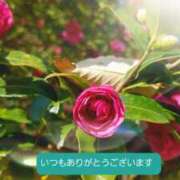 ヒメ日記 2025/04/28 09:29 投稿 人妻たえ 福島美女図鑑