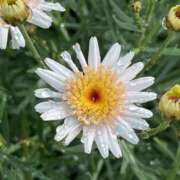 ヒメ日記 2025/05/10 09:30 投稿 人妻たえ 福島美女図鑑