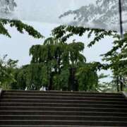 ヒメ日記 2025/06/17 08:10 投稿 人妻たえ 福島美女図鑑