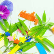 ヒメ日記 2025/07/04 10:21 投稿 人妻たえ 福島美女図鑑