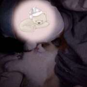 ヒメ日記 2024/12/29 23:50 投稿 あすか 快楽玉乱堂