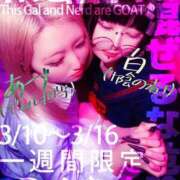 ヒメ日記 2025/03/08 15:29 投稿 ホワイト ドMな奥さん 日本橋店