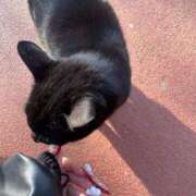 ヒメ日記 2025/03/31 13:28 投稿 ホワイト ドMな奥さん 日本橋店