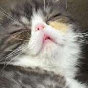 ヒメ日記 2025/07/16 16:01 投稿 ホワイト ドMな奥さん 日本橋店