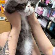 ヒメ日記 2025/08/14 16:46 投稿 ホワイト ドMな奥さん 日本橋店