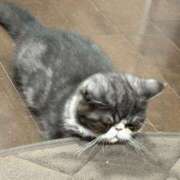 ヒメ日記 2025/08/27 18:34 投稿 ホワイト ドMな奥さん 日本橋店