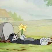 ヒメ日記 2025/11/13 17:18 投稿 りあ 静岡♂風俗の神様 静岡店