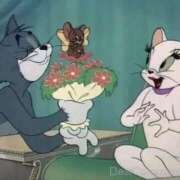 ヒメ日記 2026/03/20 17:48 投稿 りあ 静岡♂風俗の神様 静岡店