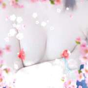 ヒメ日記 2024/12/14 22:48 投稿 らいむ ラズベリー(エステ)