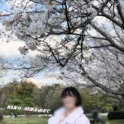 ヒメ日記 2025/04/04 22:18 投稿 相葉　きこ 川崎南町人妻高級ソープ エル・カーヒル(ELCURHIL)秘密の刻