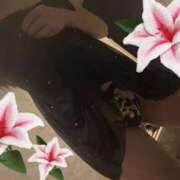 体験ゆりあ クージーなかよしさん ACCENT[アクセントグループ]