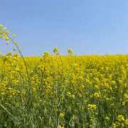 ヒメ日記 2025/03/28 09:03 投稿 りつか 西川口こんにちわいふ（シンデレラグループ）