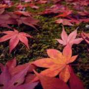 ヒメ日記 2024/12/07 20:55 投稿 しょう 待ちナビ