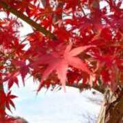 ヒメ日記 2024/12/08 18:41 投稿 しょう 待ちナビ