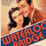 ヒメ日記 2024/12/09 15:26 投稿 しょう 待ちナビ