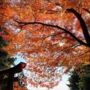 ヒメ日記 2024/12/10 17:35 投稿 しょう 待ちナビ