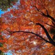 ヒメ日記 2024/12/11 10:39 投稿 しょう 待ちナビ