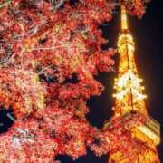 ヒメ日記 2024/12/11 22:35 投稿 しょう 待ちナビ