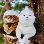 ヒメ日記 2024/12/20 11:44 投稿 しょう 待ちナビ