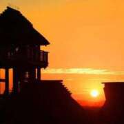 ヒメ日記 2024/12/21 15:20 投稿 しょう 待ちナビ