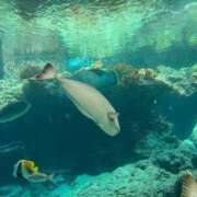 ヒメ日記 2024/12/22 20:55 投稿 しょう 待ちナビ